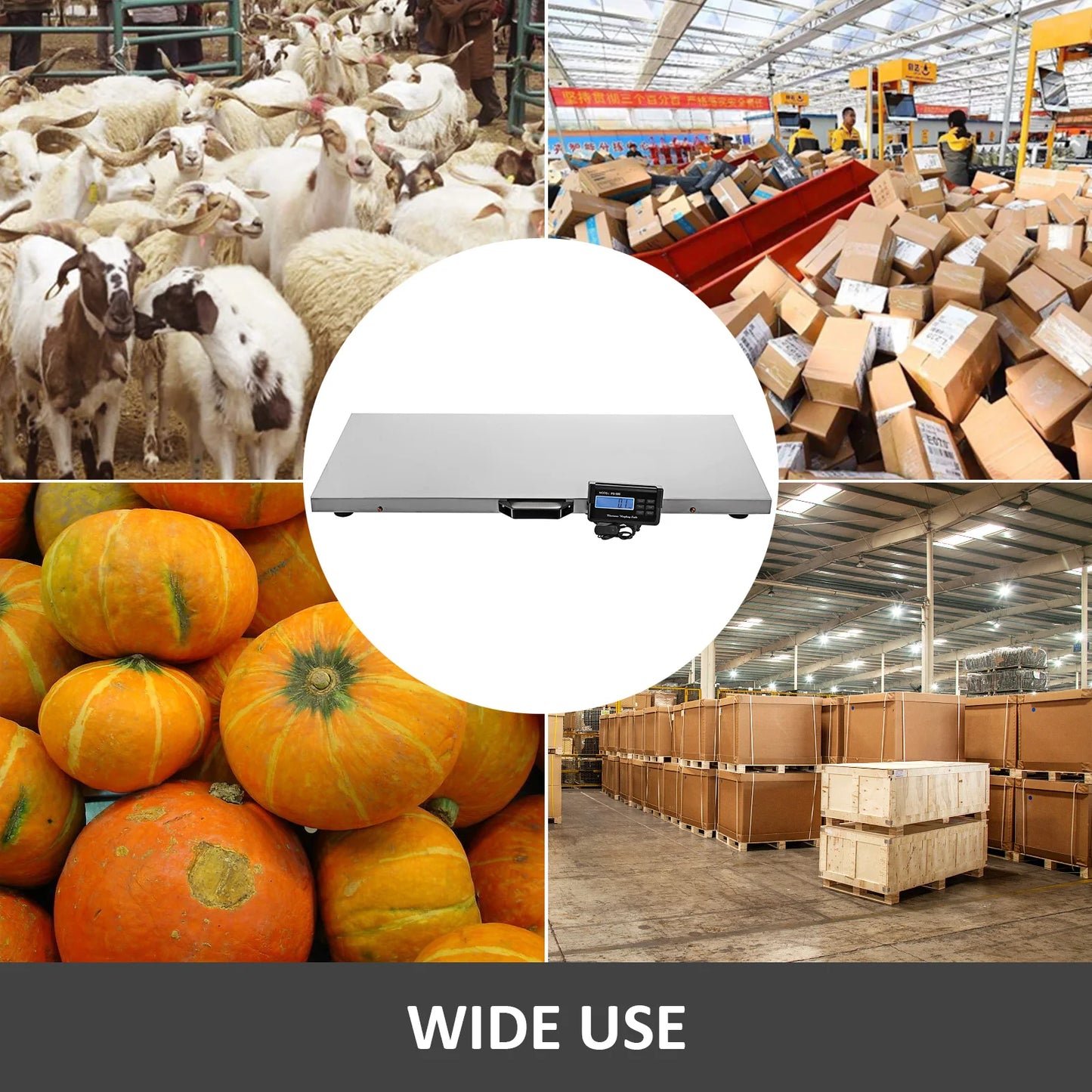 SucceBuy Digital Livestock Scale Stainless Steel Platform