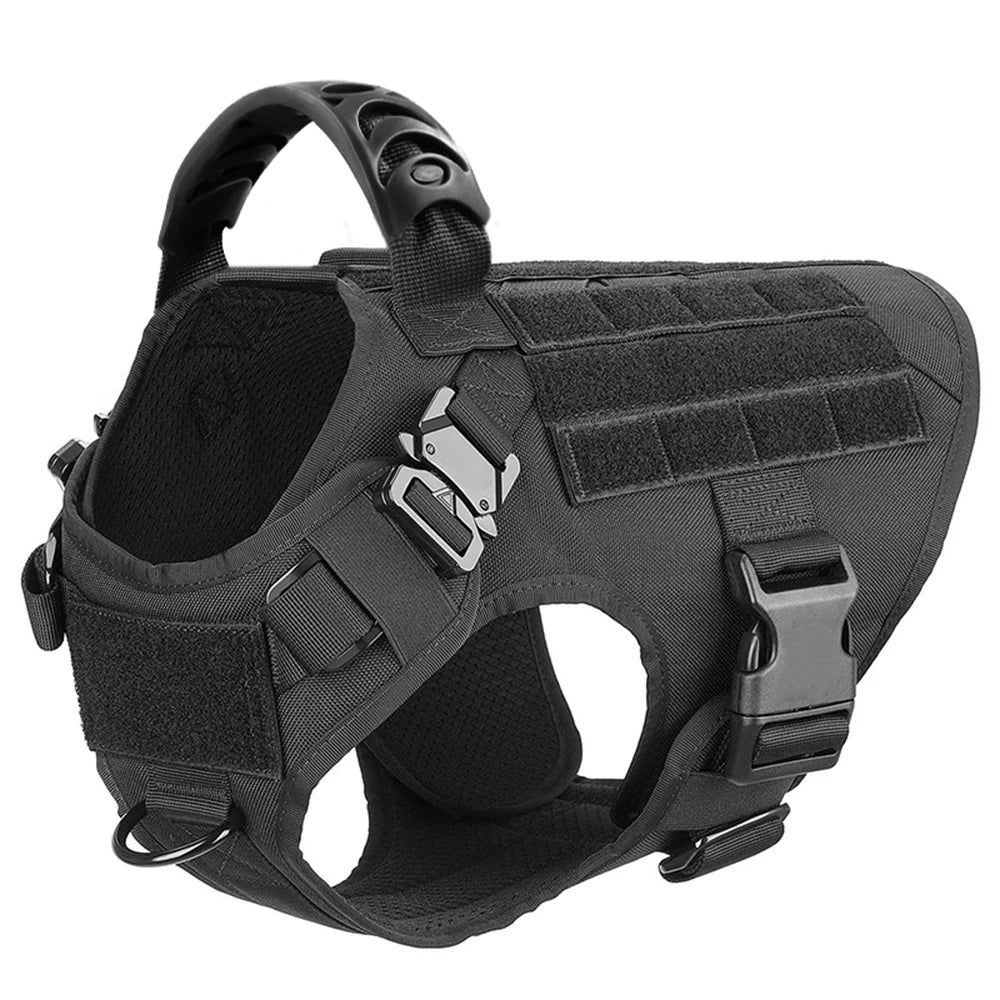 Comfortable Dog Harness and Leash Set for Training and Walking