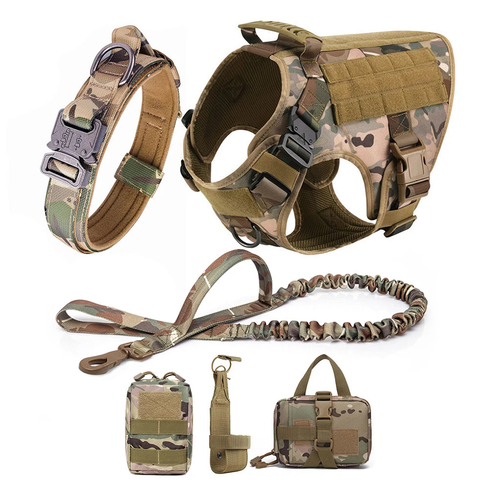 Comfortable Dog Harness and Leash Set for Training and Walking