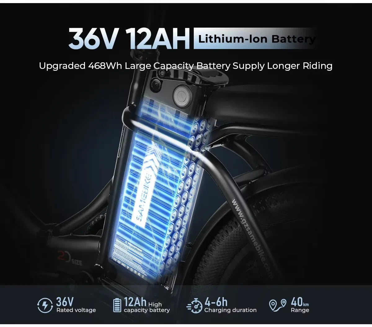 Folding Electric Bike with Removable Battery and 350W Motor