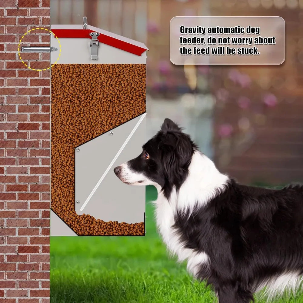 Hign-concerned Automatic Dog Feeder for Large Breed Outdoor