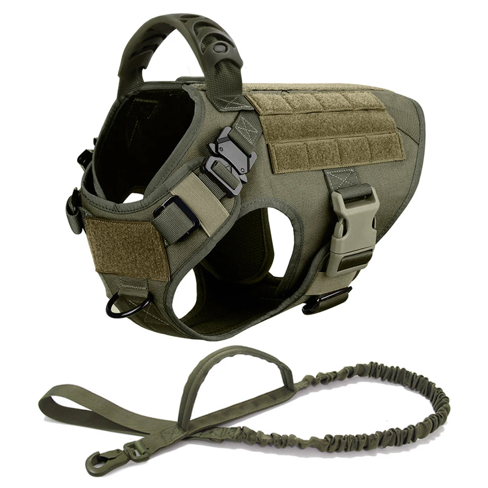 Comfortable Dog Harness and Leash Set for Training and Walking