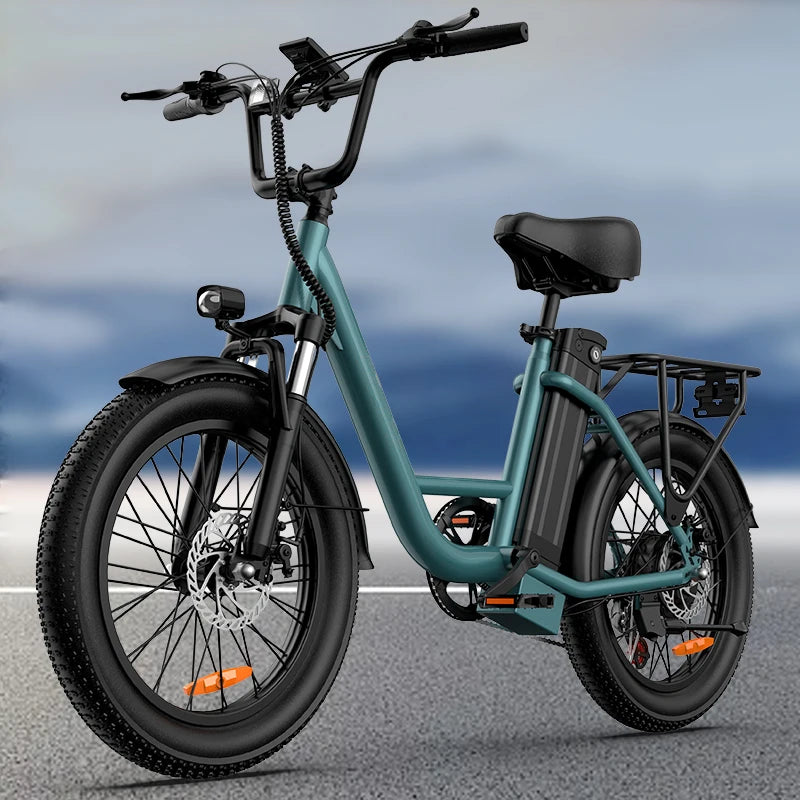URLIFE Off Road Electric Bike 1000W 48V Battery Pack