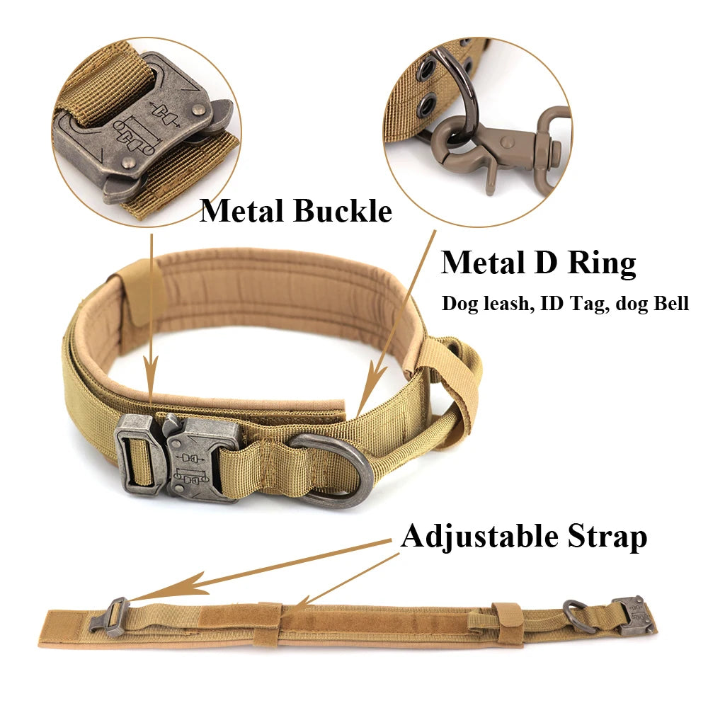 Comfortable Dog Harness and Leash Set for Training and Walking