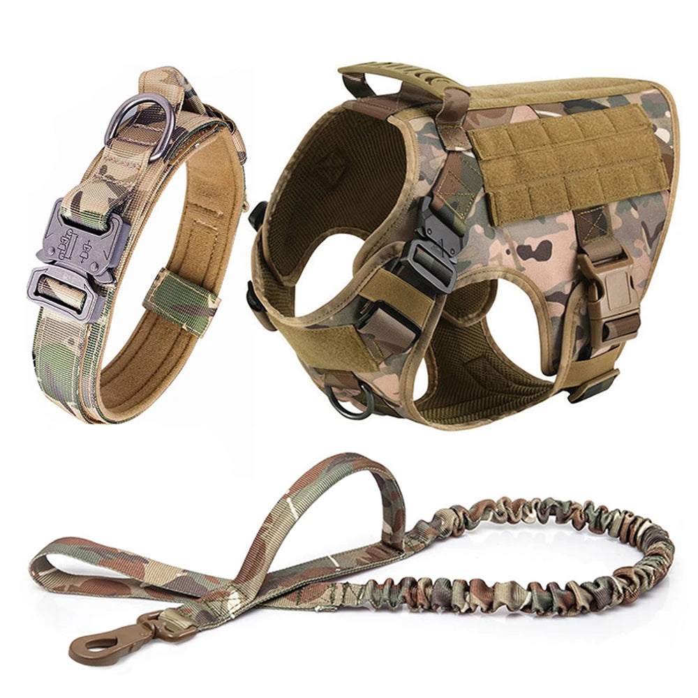 Comfortable Dog Harness and Leash Set for Training and Walking