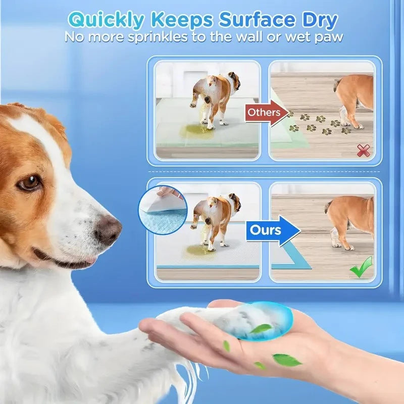 Dog Litter Disposable Pee Pads For Potty Training Leakproof