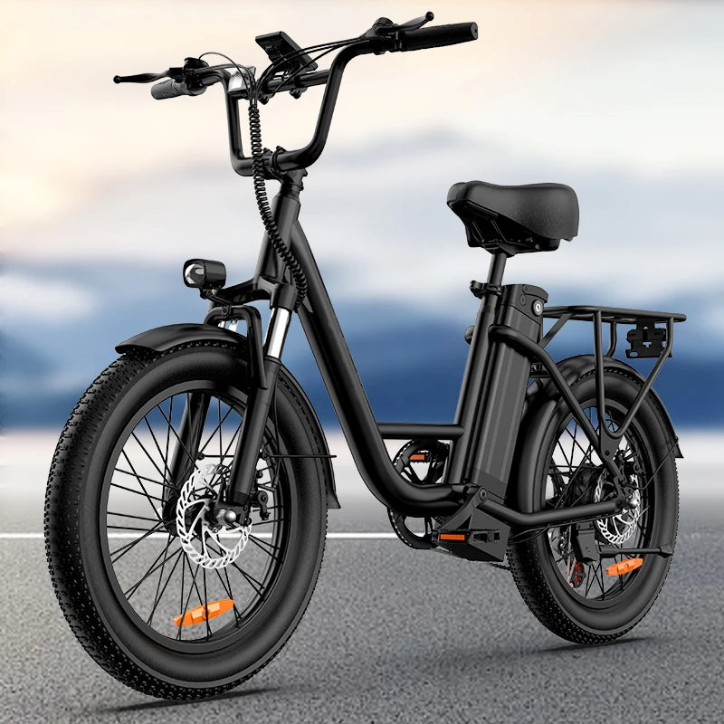 URLIFE Off Road Electric Bike 1000W 48V Battery Pack