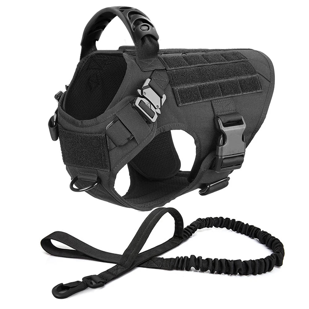 Comfortable Dog Harness and Leash Set for Training and Walking