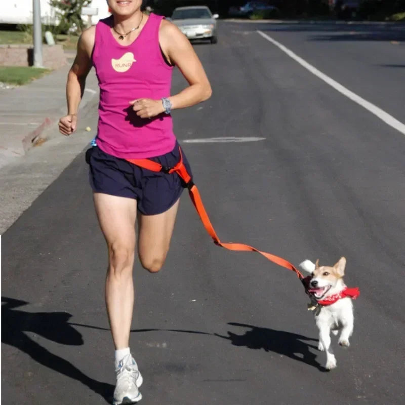 Adjustable Pet Lead for Hands-Free Walking and Jogging