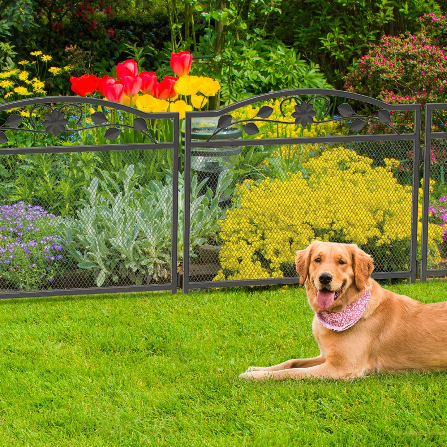 BINGOPAW 5 Panel Dog Playpen Outdoor Heavy Metal Fence