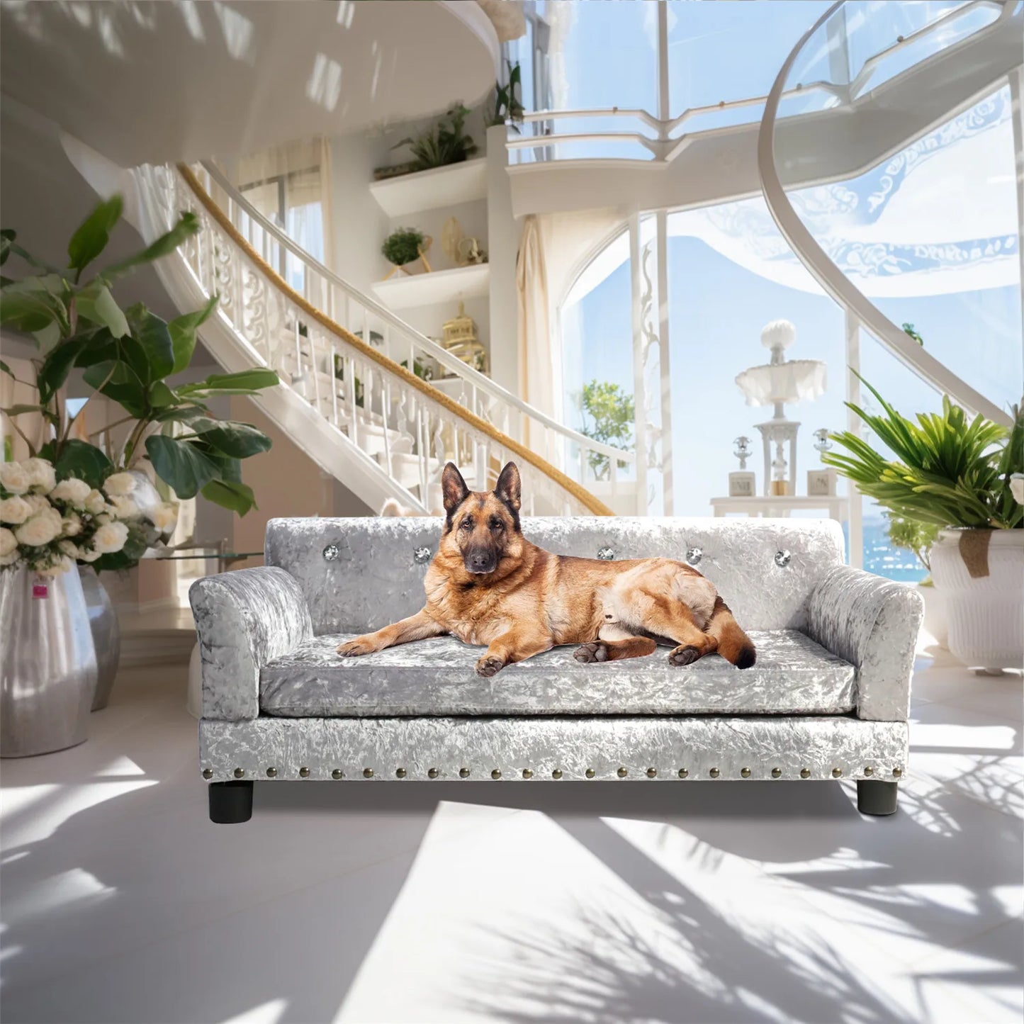 Bingopaw Deluxe Velvet Dog Sofa Bed With Memory Foam