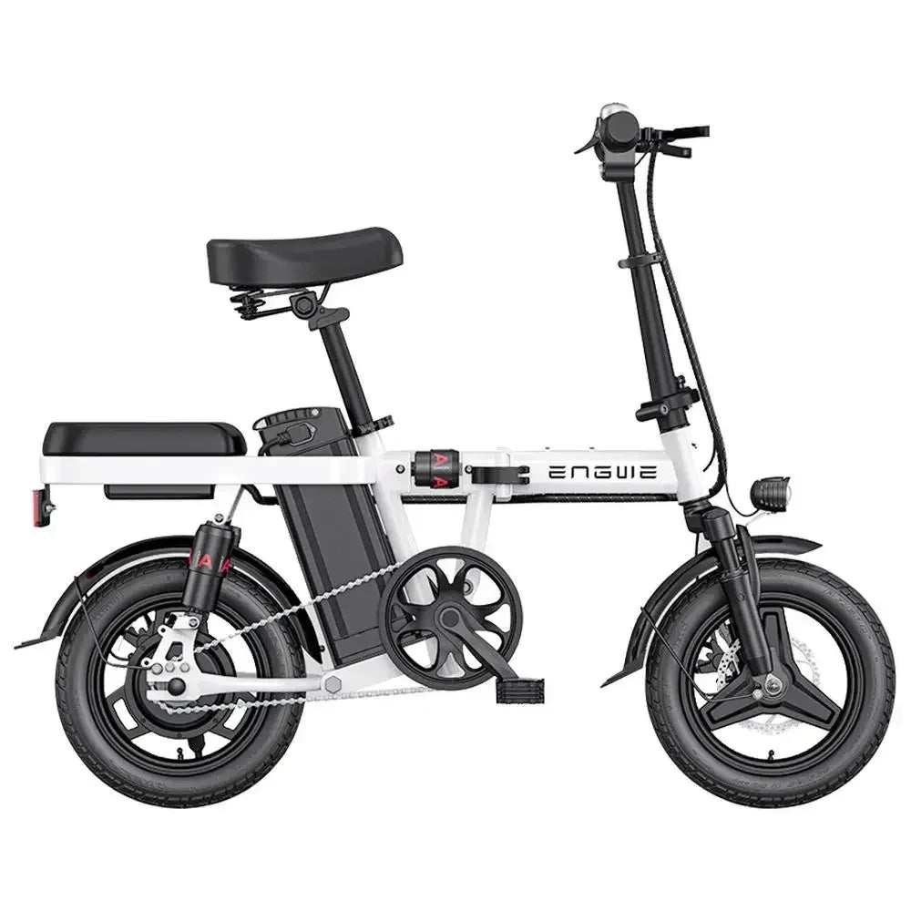 Folding Electric Mountain Bike With Powerful 1200W Motor
