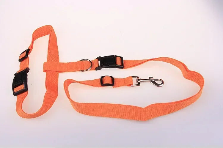 Adjustable Pet Lead for Hands-Free Walking and Jogging