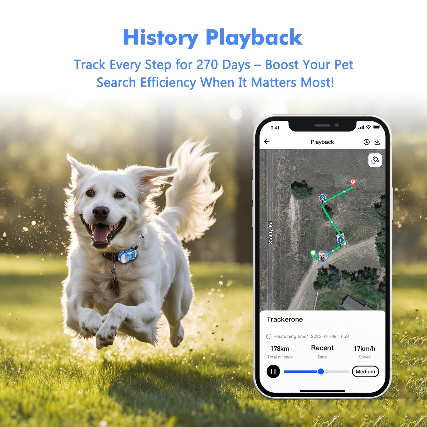 WANWAYTECH 4G Pet GPS Tracker Waterproof Live Tracking App