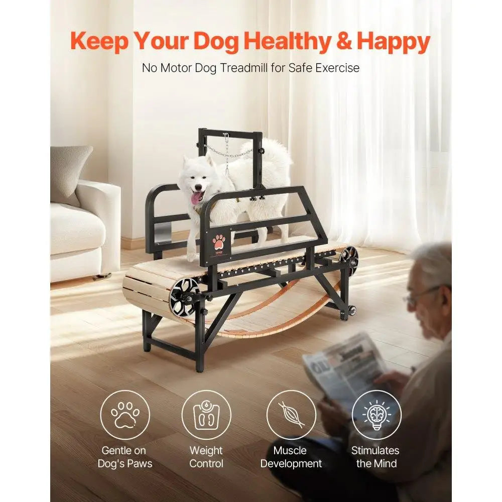 Hign-concerned Heavy Duty Dog Treadmill Exercise Machine
