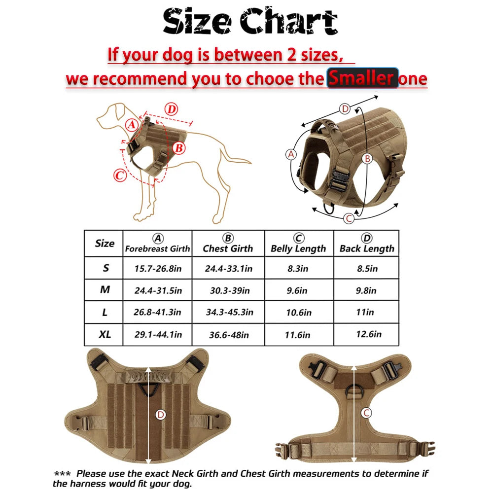 Comfortable Dog Harness and Leash Set for Training and Walking