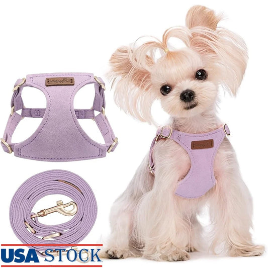 Fujian Adjustable No Pull Escape Proof Puppy Harness Leash