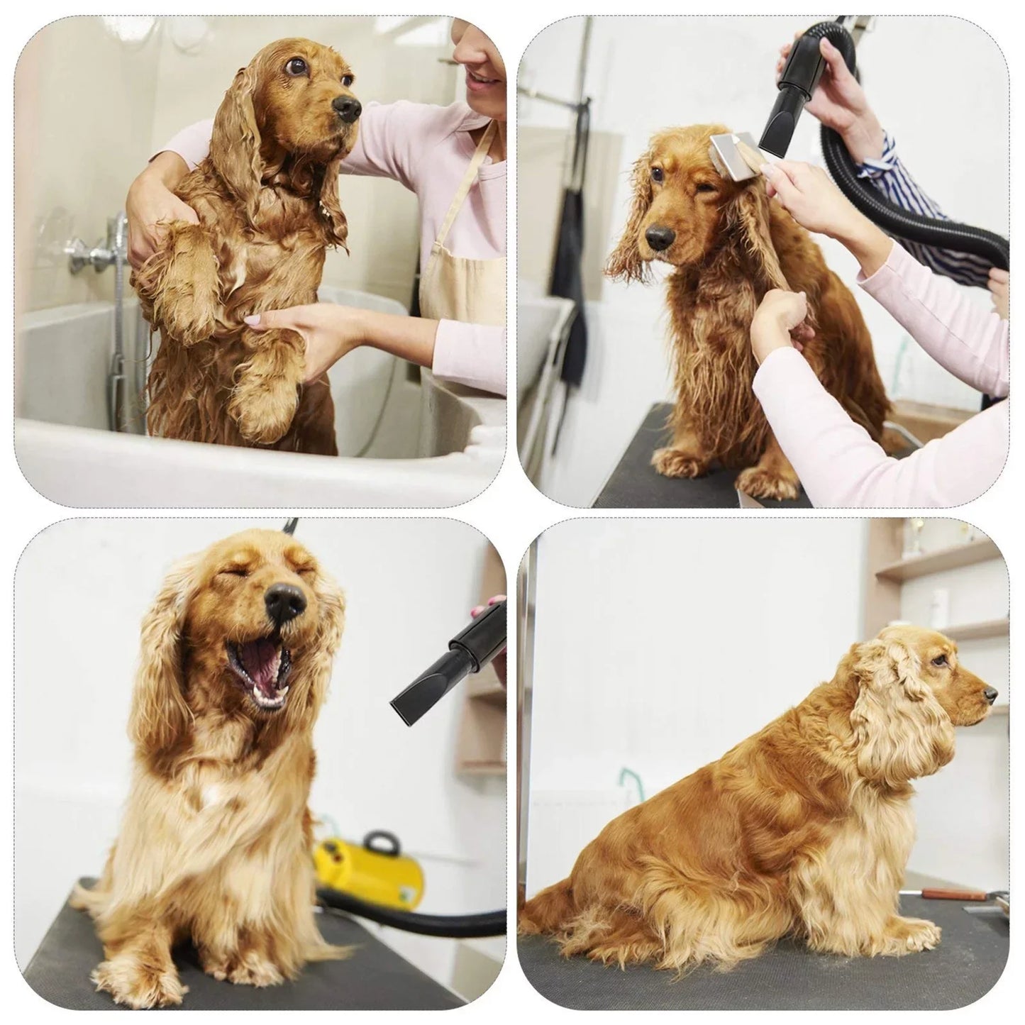 Powerful Dog Hair Dryer for Efficient Pet Grooming Experience
