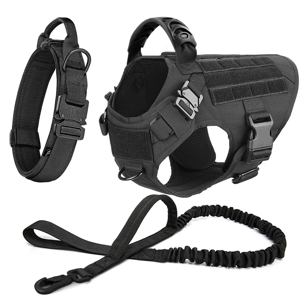 Comfortable Dog Harness and Leash Set for Training and Walking