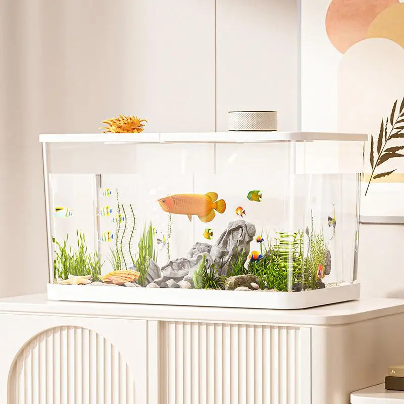 Hign-concerned Transparent Mini Fish Tank Hydroponic Lid