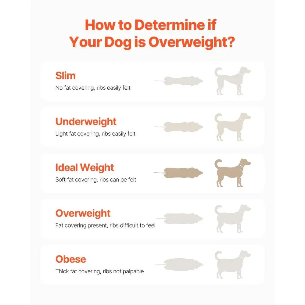 Hign-concerned Heavy Duty Dog Treadmill Exercise Machine
