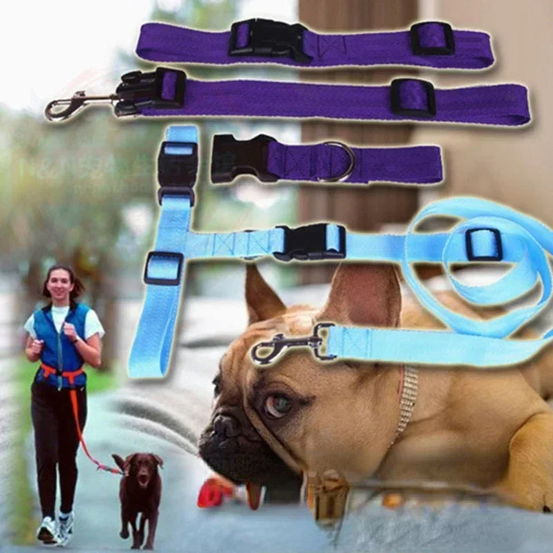 Adjustable Pet Lead for Hands-Free Walking and Jogging