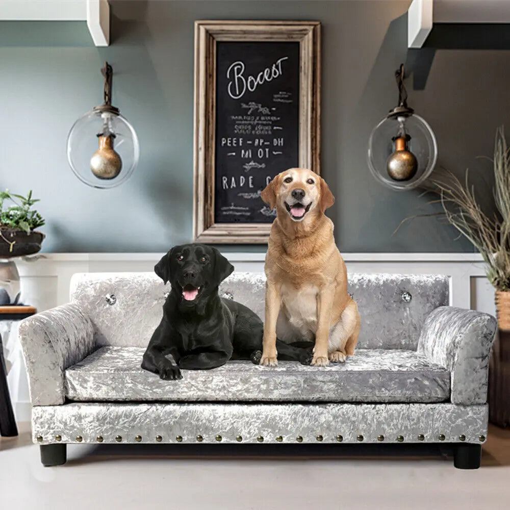BORWARTCN Luxury Velvet Tufted Dog Sofa Bed Elevated Frame
