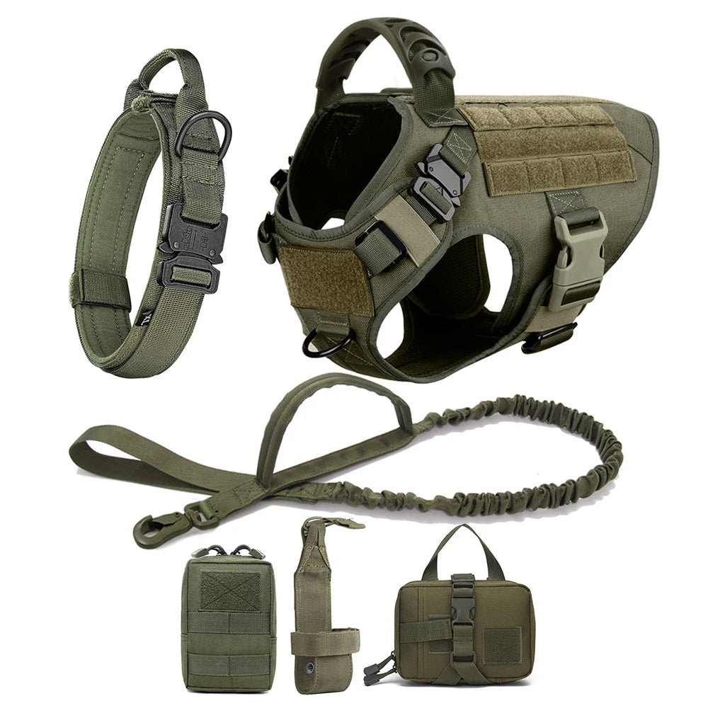 Comfortable Dog Harness and Leash Set for Training and Walking
