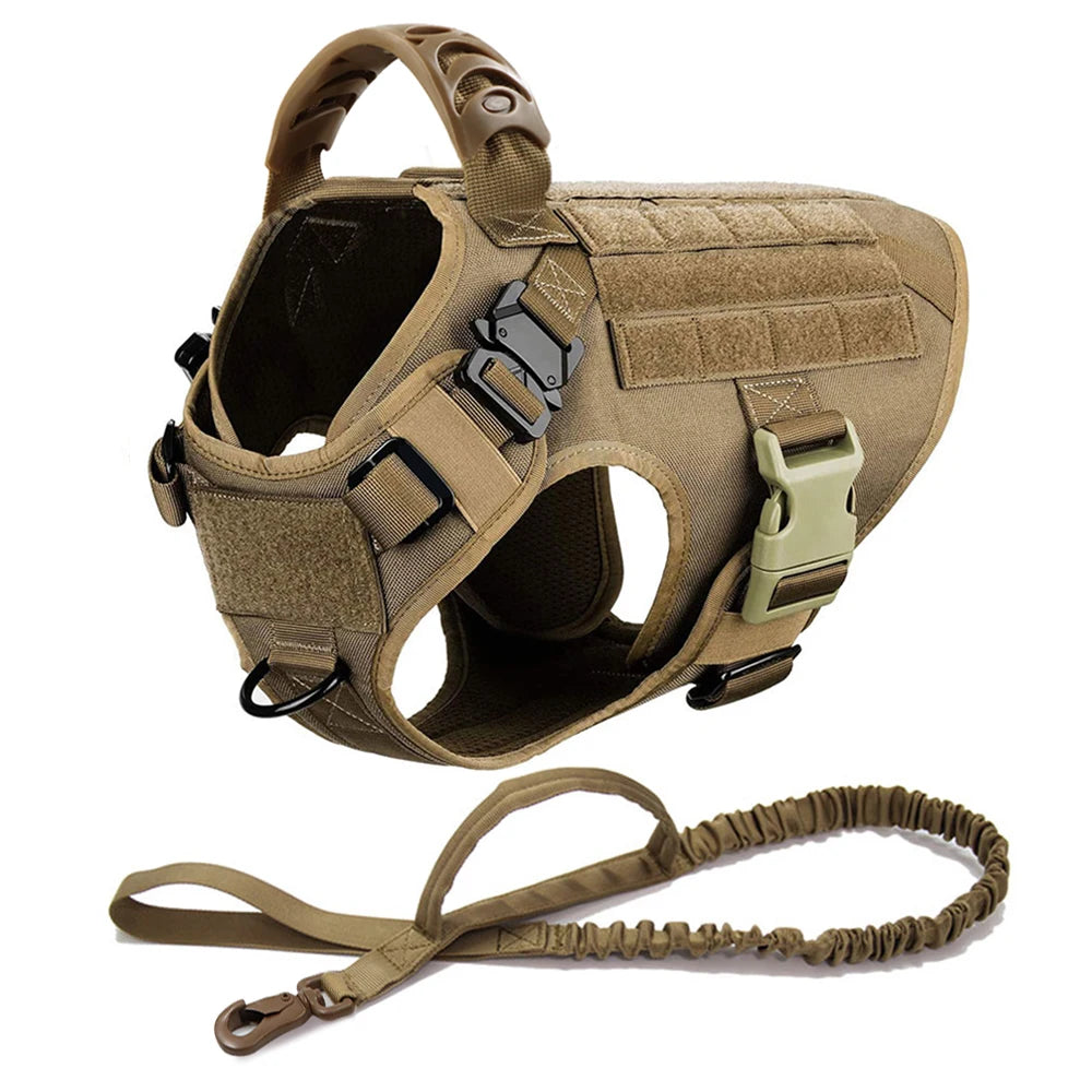 Comfortable Dog Harness and Leash Set for Training and Walking