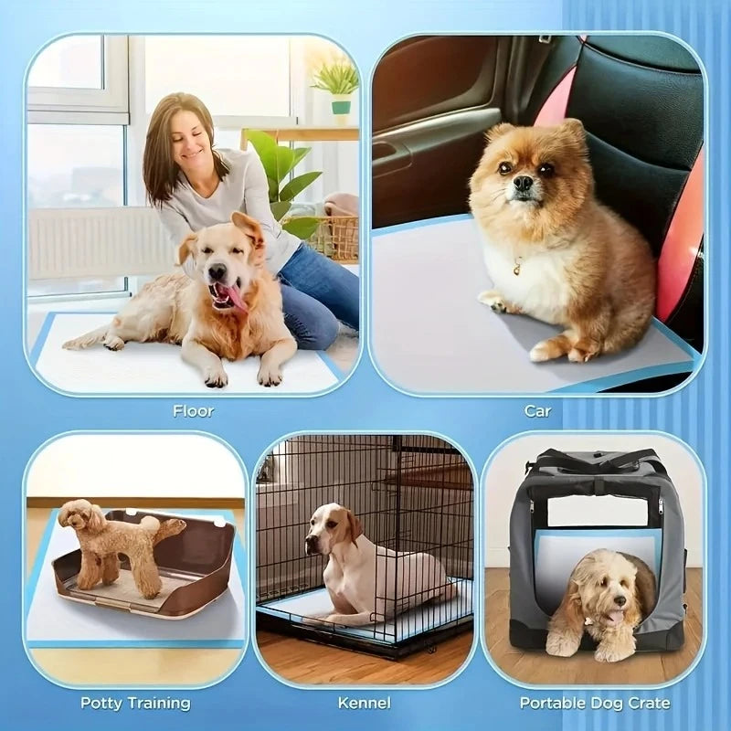 Dog Litter Disposable Pee Pads For Potty Training Leakproof