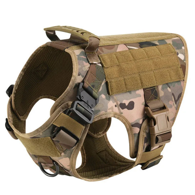 Comfortable Dog Harness and Leash Set for Training and Walking