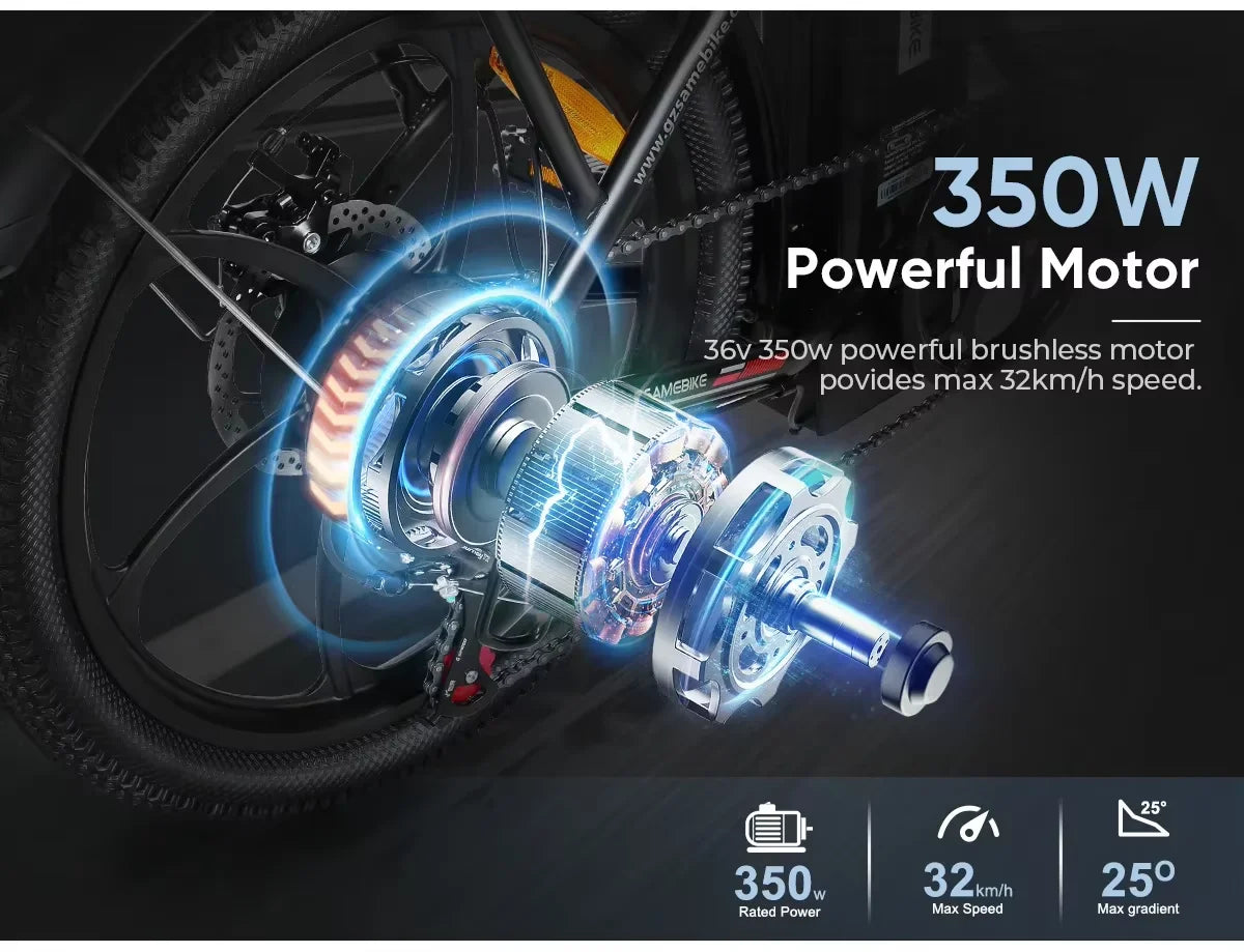 Folding Electric Bike with Removable Battery and 350W Motor
