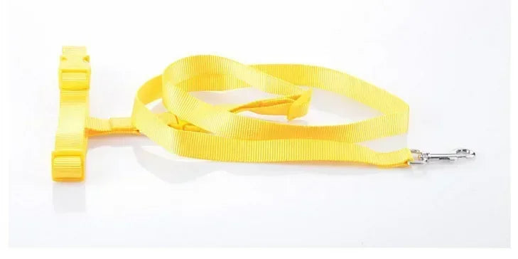 Adjustable Pet Lead for Hands-Free Walking and Jogging