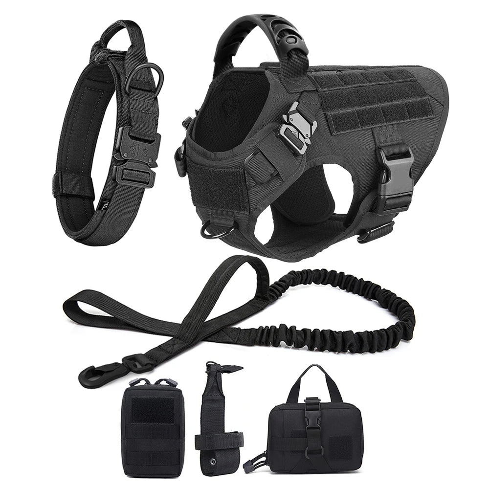Comfortable Dog Harness and Leash Set for Training and Walking