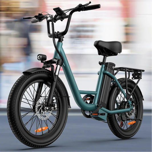 URLIFE Off Road Electric Bike 1000W 48V Battery Pack