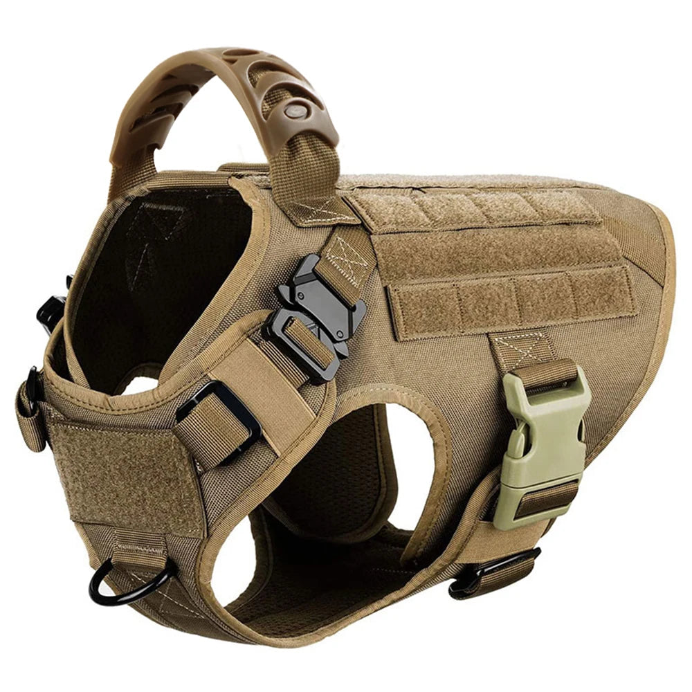 Comfortable Dog Harness and Leash Set for Training and Walking