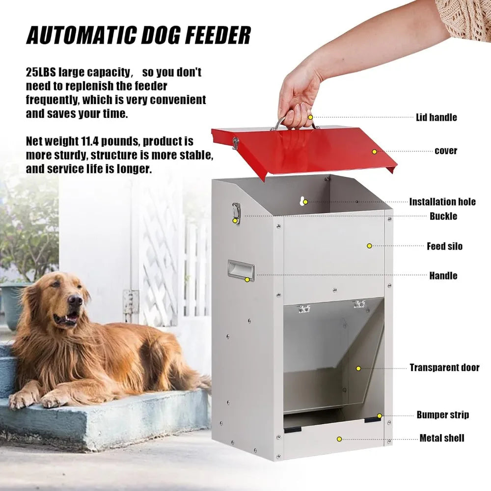 Hign-concerned Automatic Dog Feeder for Large Breed Outdoor