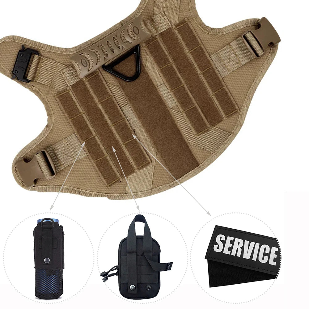 Comfortable Dog Harness and Leash Set for Training and Walking