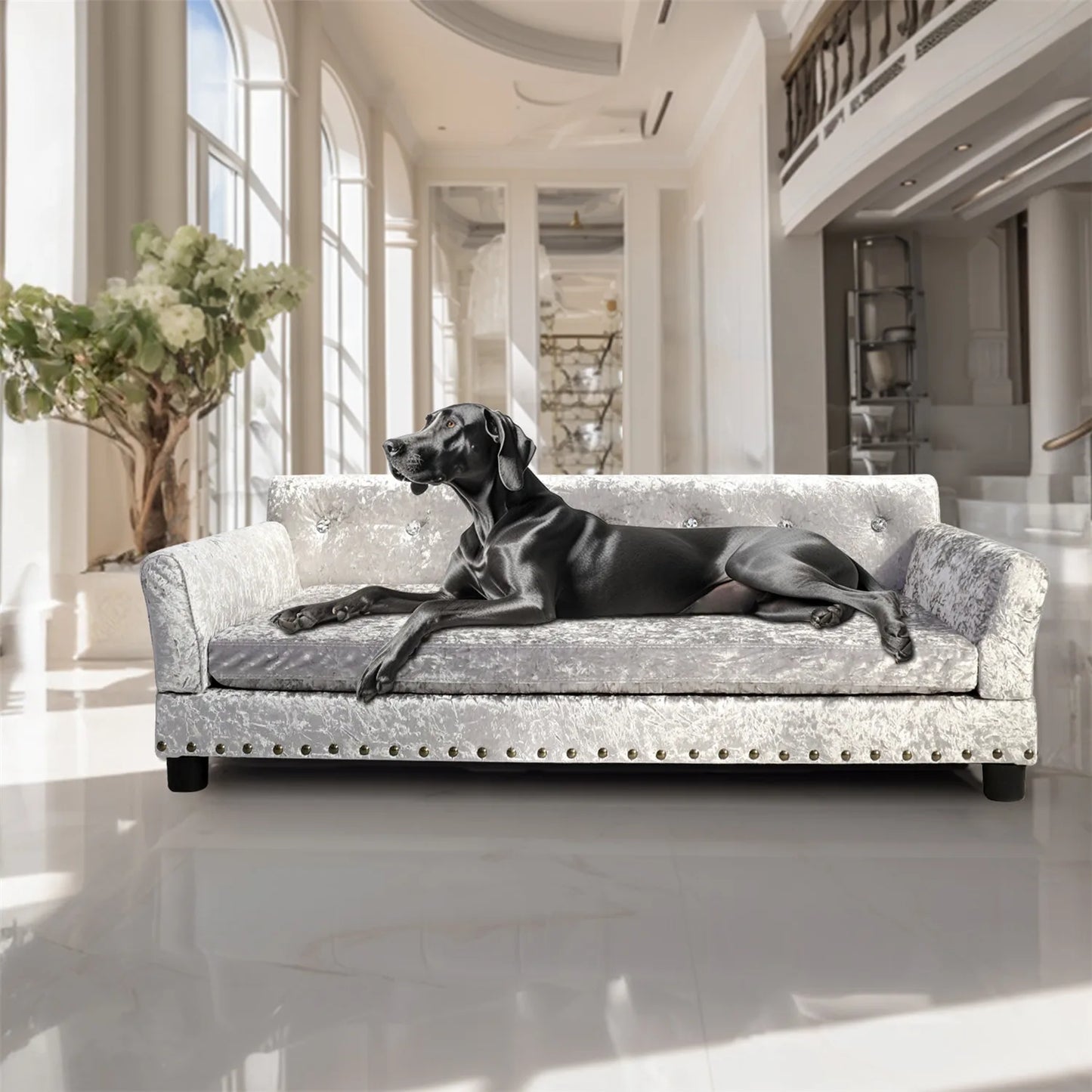 Bingopaw Deluxe Velvet Dog Sofa Bed With Memory Foam