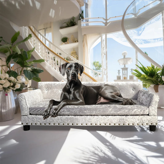 Bingopaw Deluxe Velvet Dog Sofa Bed With Memory Foam