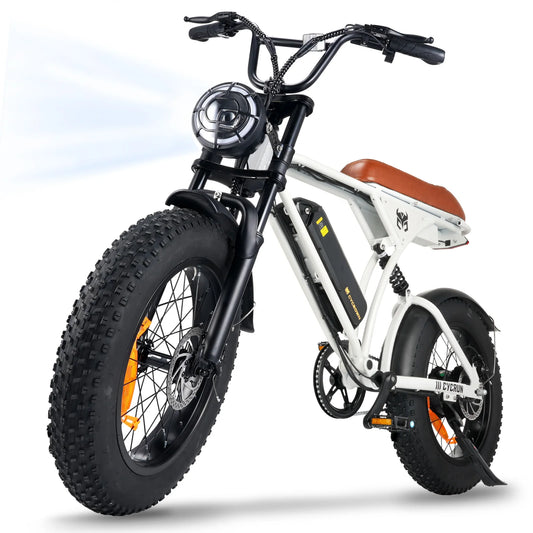 Cycrown RUN 750W Electric Off-Road E-Bicycle for Adventure