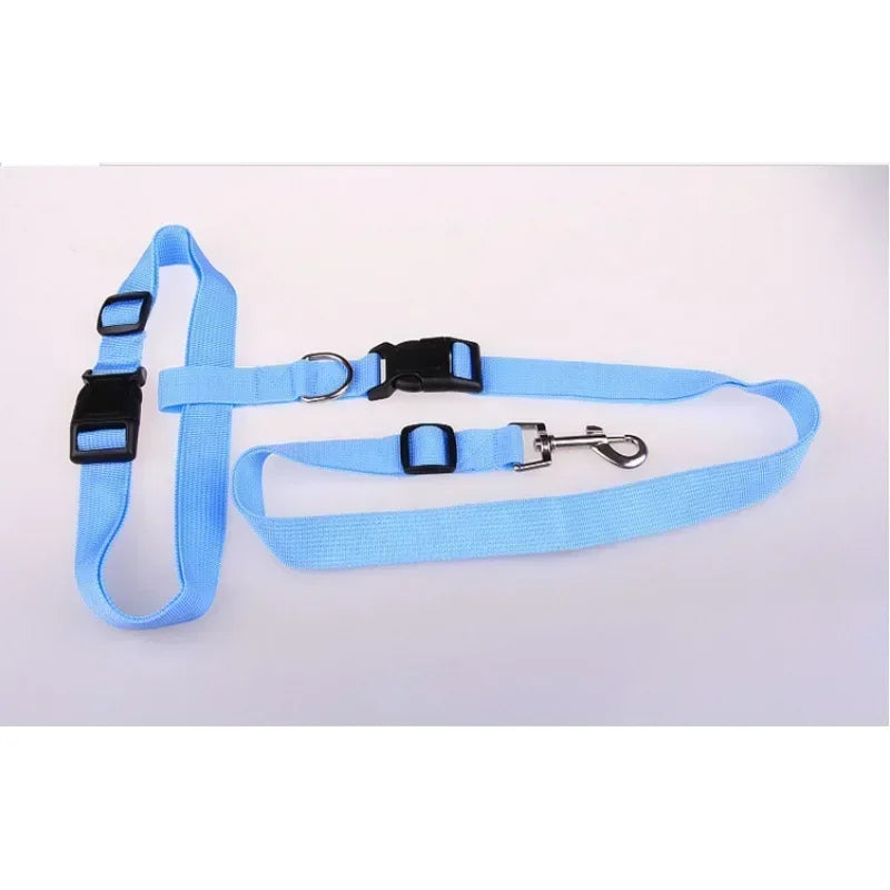 Adjustable Pet Lead for Hands-Free Walking and Jogging
