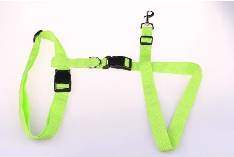 Adjustable Pet Lead for Hands-Free Walking and Jogging