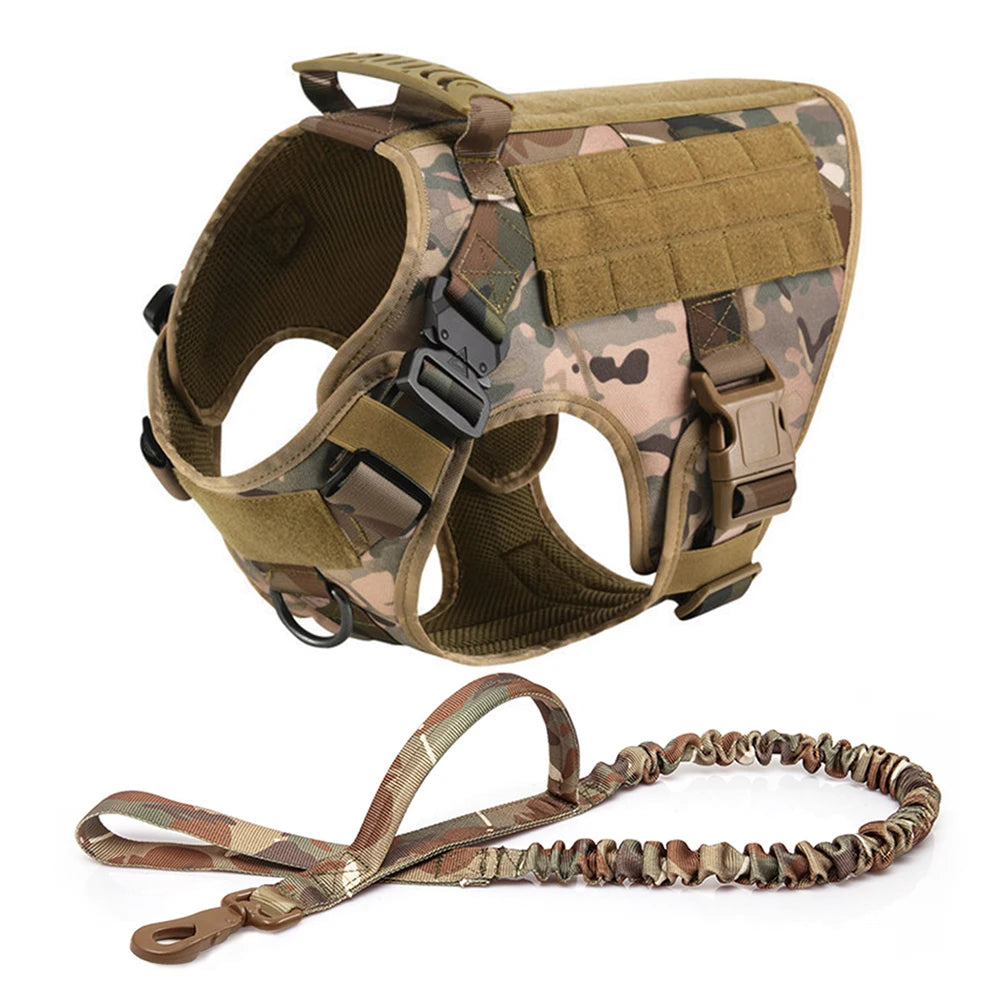 Comfortable Dog Harness and Leash Set for Training and Walking