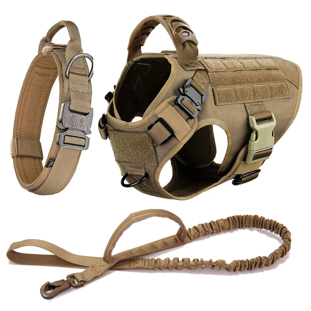 Comfortable Dog Harness and Leash Set for Training and Walking