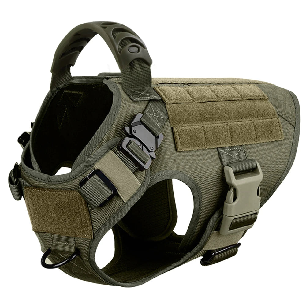 Comfortable Dog Harness and Leash Set for Training and Walking