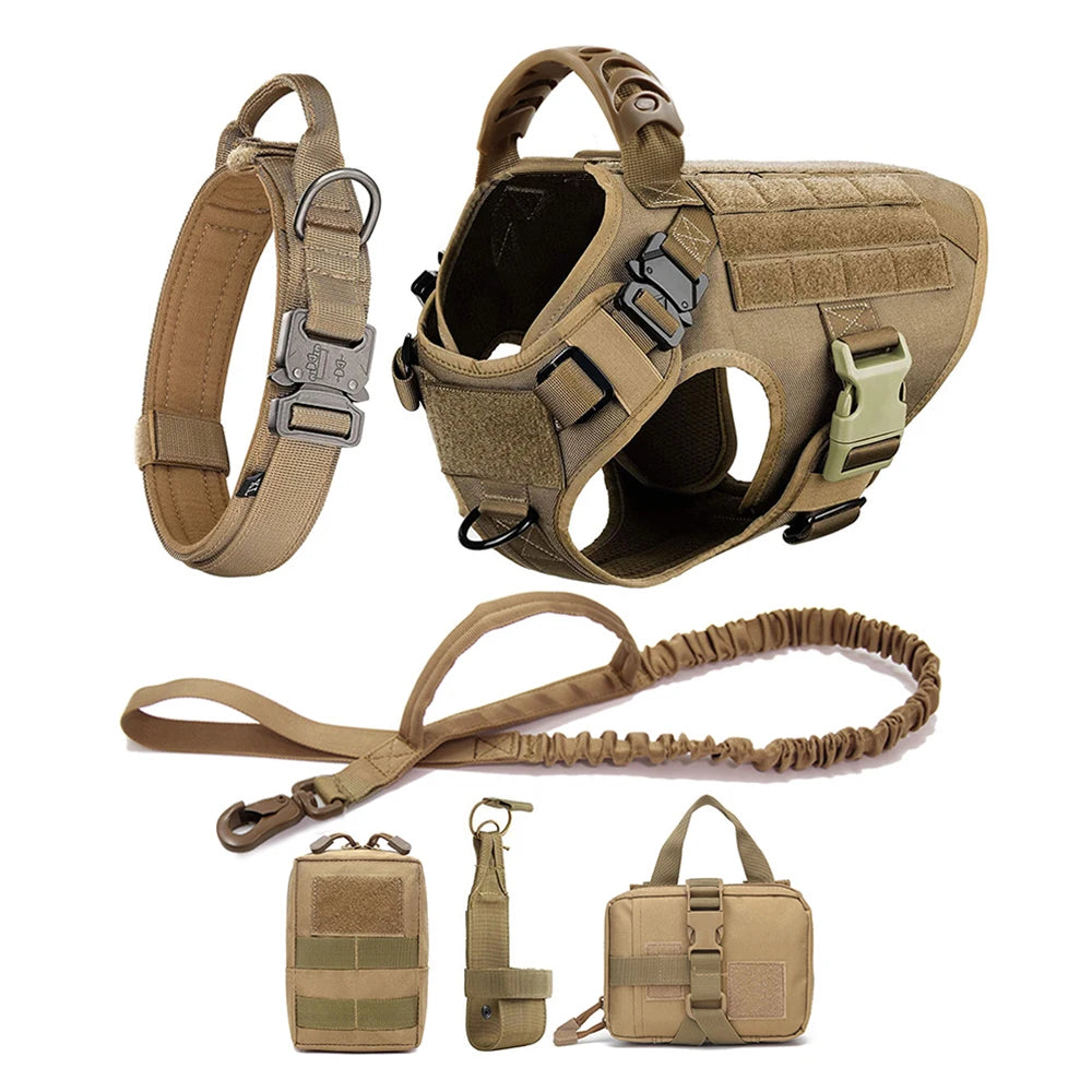 Comfortable Dog Harness and Leash Set for Training and Walking