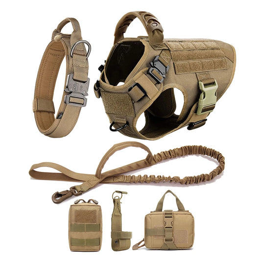 Comfortable Dog Harness and Leash Set for Training and Walking