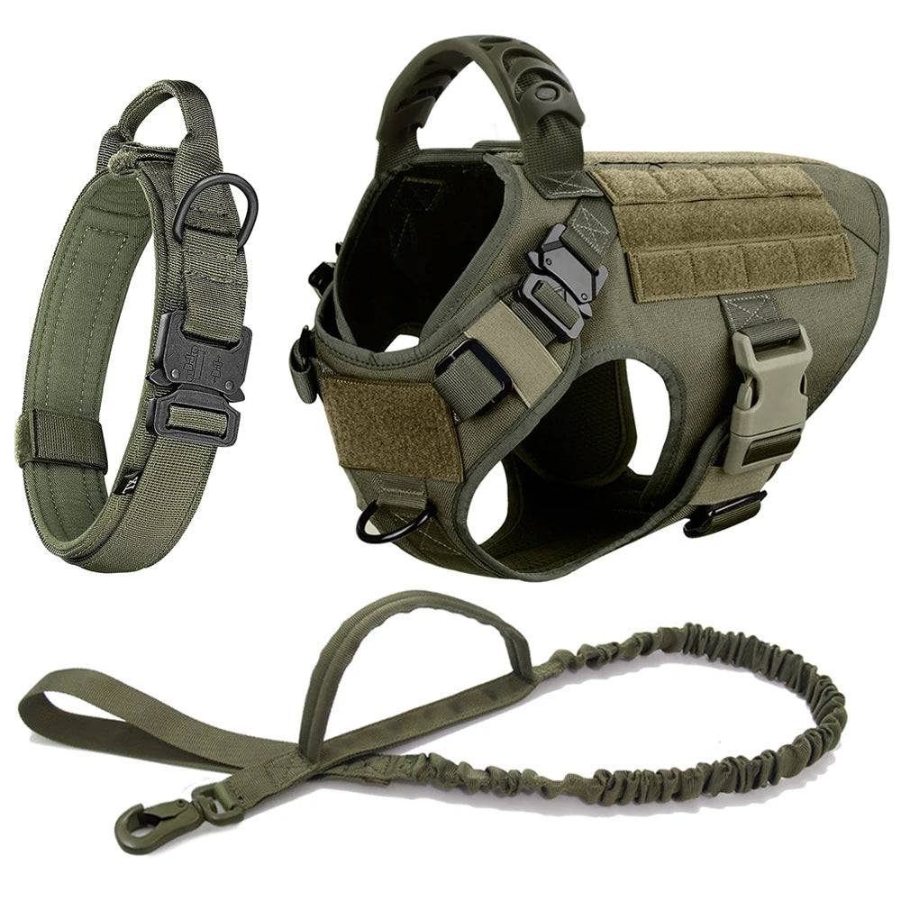 Comfortable Dog Harness and Leash Set for Training and Walking
